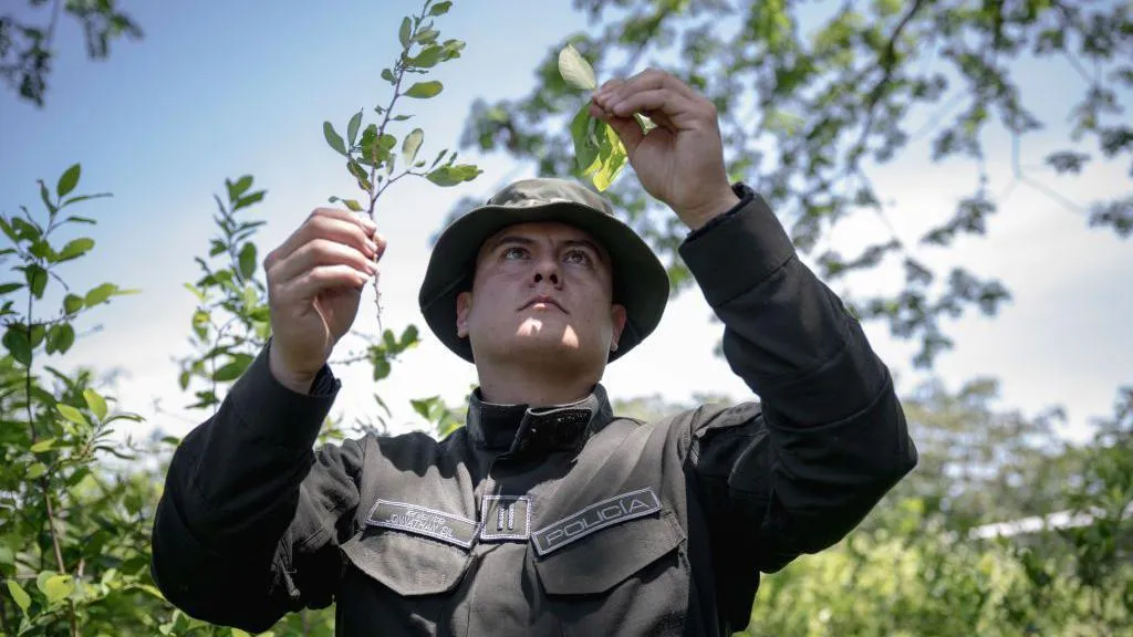 Descertificación de Colombia: Desafíos en Relaciones Bilaterales