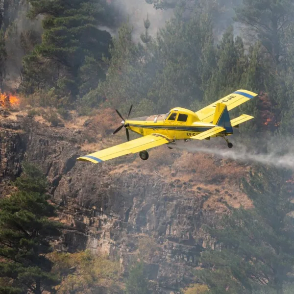 Emergencia Ígnea: Cómo los Incendios Transforman la Patagonia