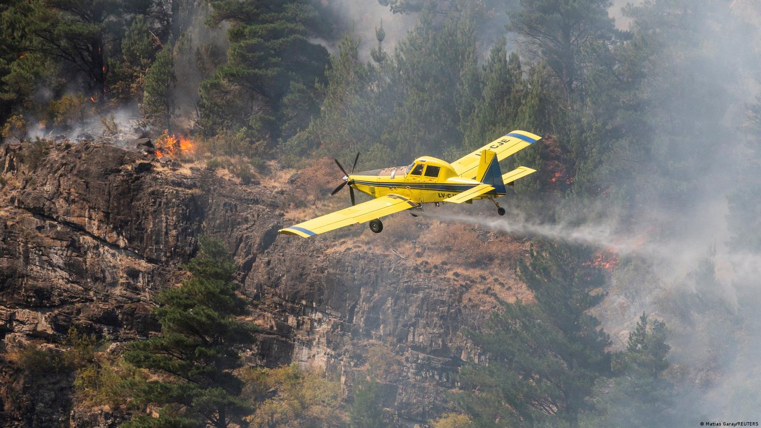 Emergencia Ígnea: Cómo los Incendios Transforman la Patagonia