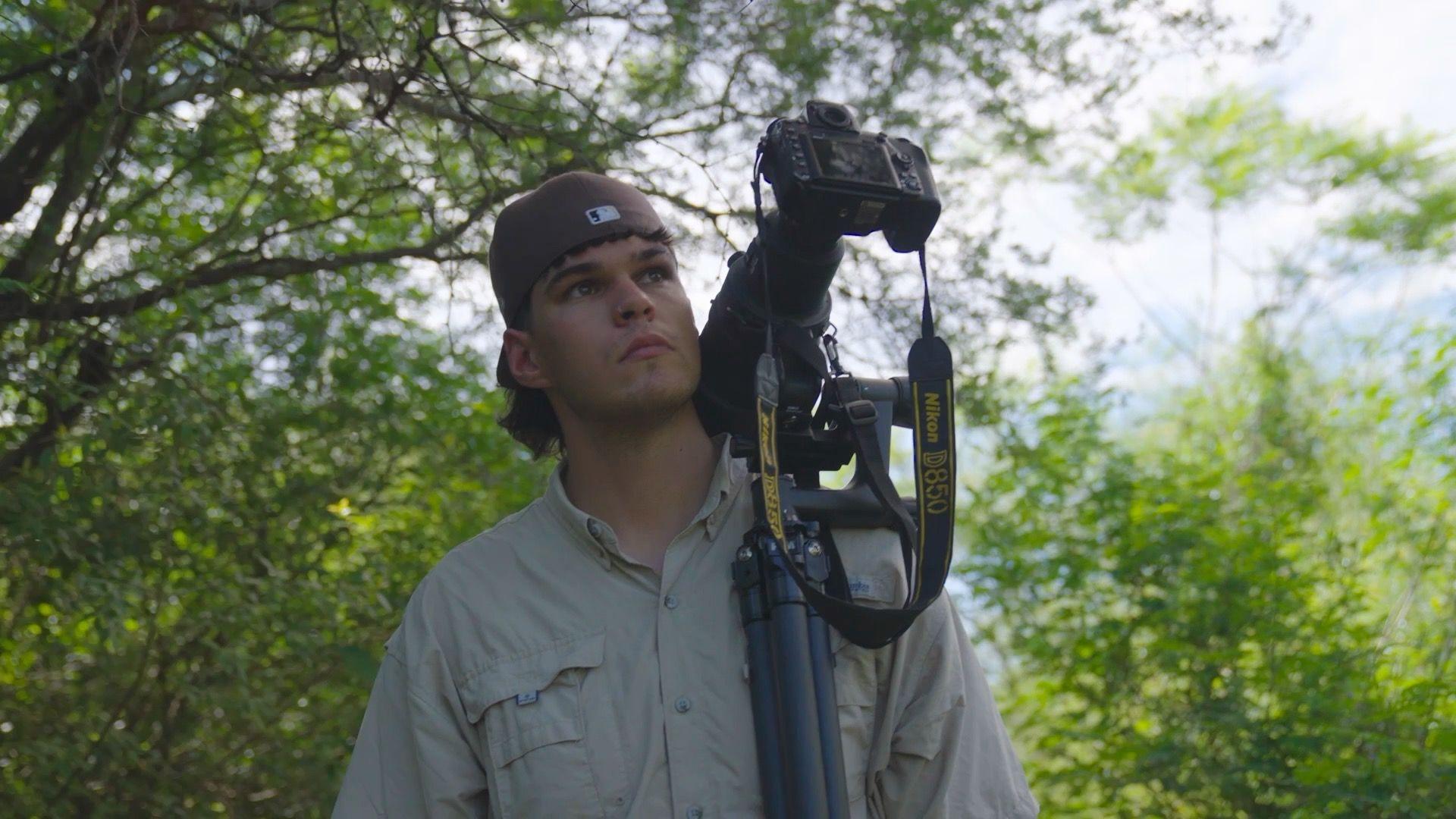 Urutaú: La Emoción del Avistamiento de Aves Nocturnas