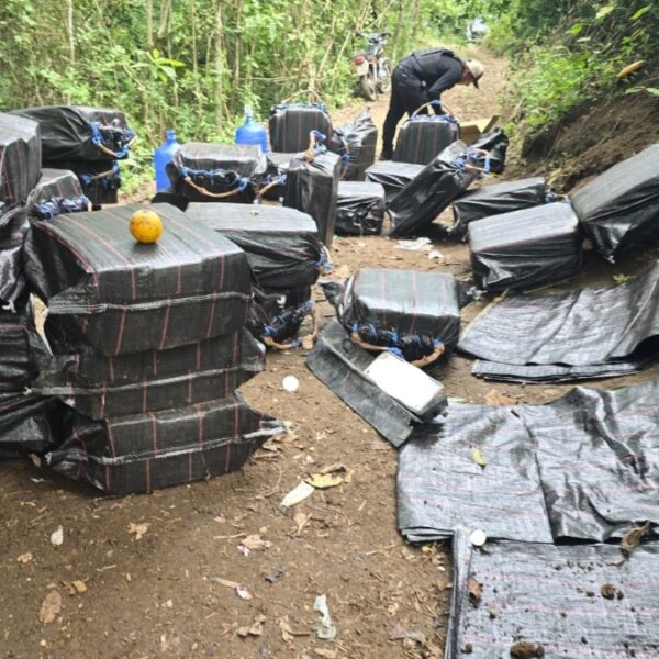 Incautación de droga Ecuador: ¿Cómo afecta al tráfico internacional?