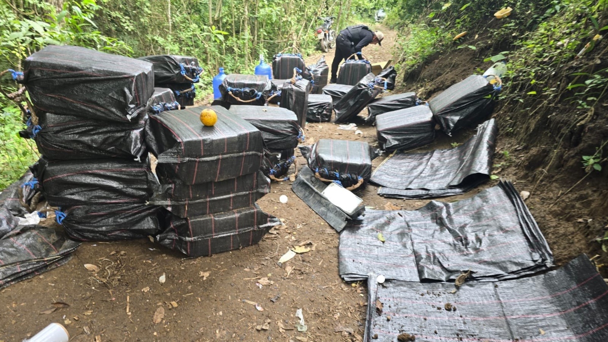 Incautación de droga Ecuador: ¿Cómo afecta al tráfico internacional?